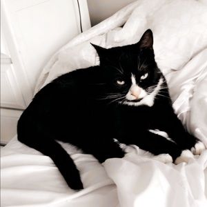 Meet your Posher, Ambriah